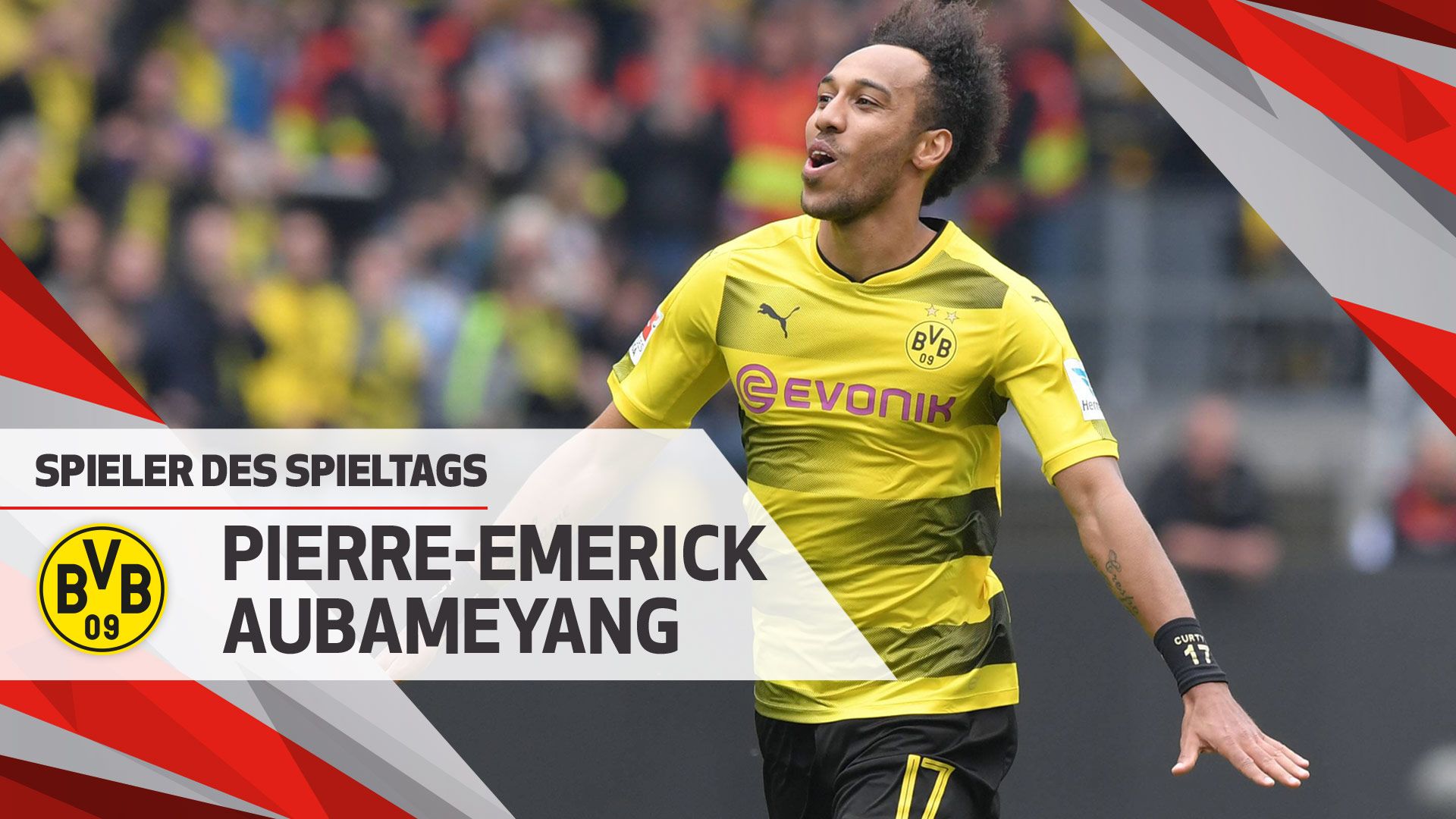 影响油脂吸附脱色的因素