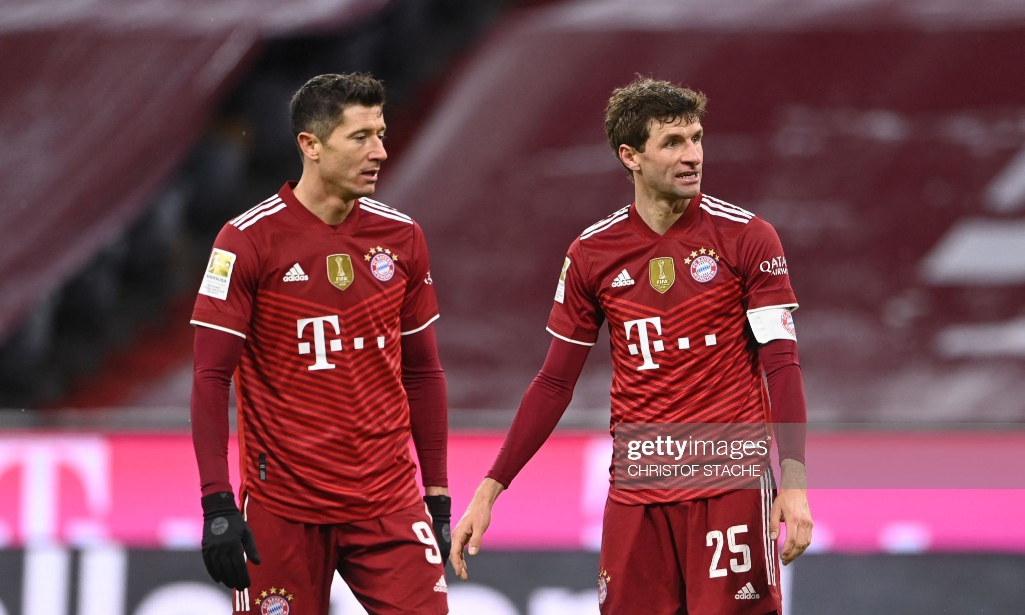 50吨植物油精炼设备